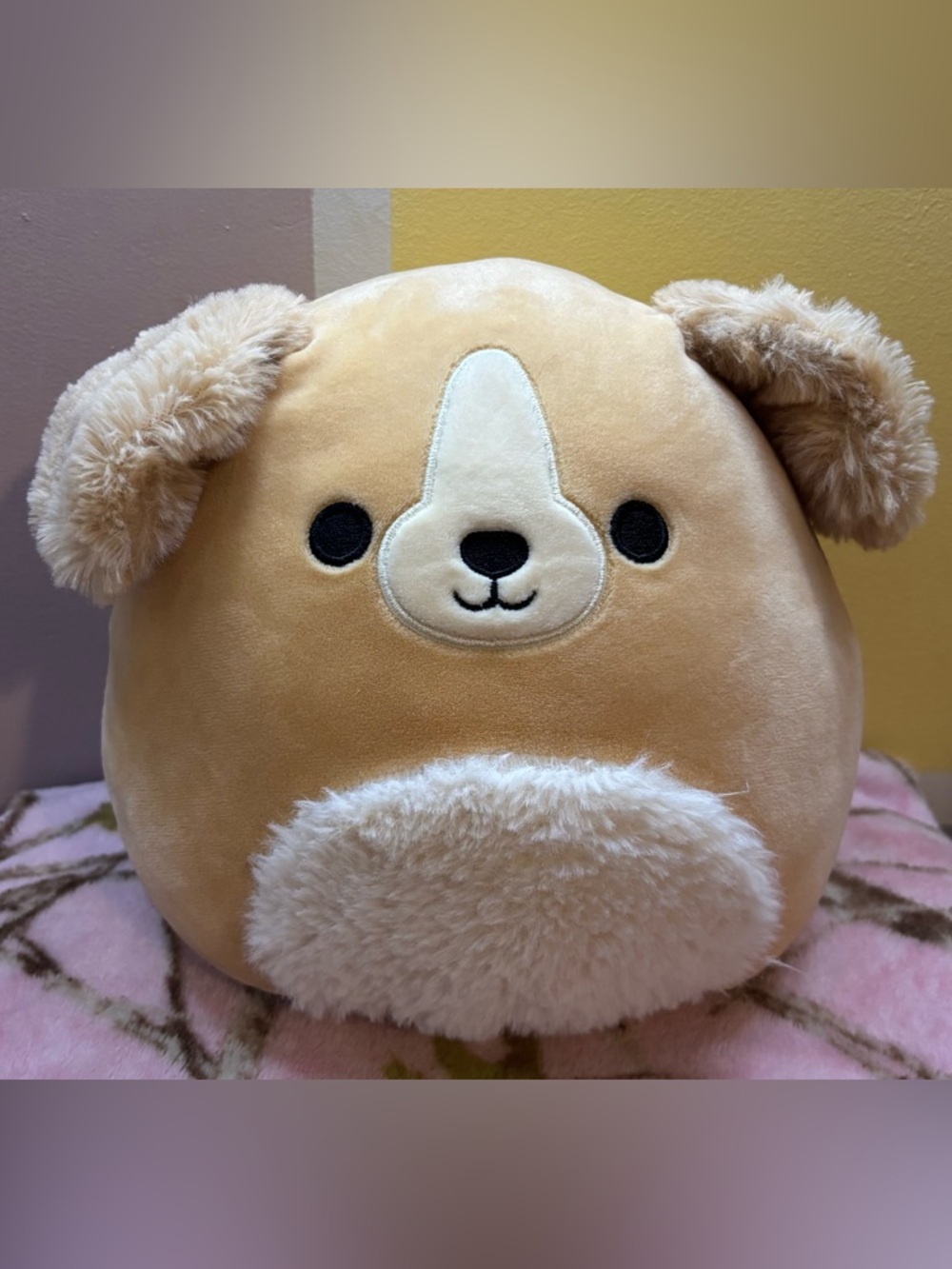 Squishmallow Stevon Golden Retriever Dog